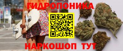 твердый Лесосибирск